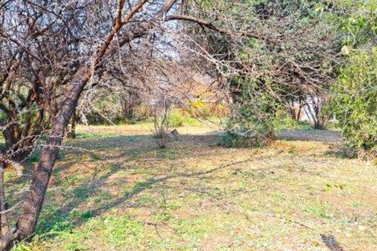 893 m2 Stand for sale in Birdwood - Photo 3