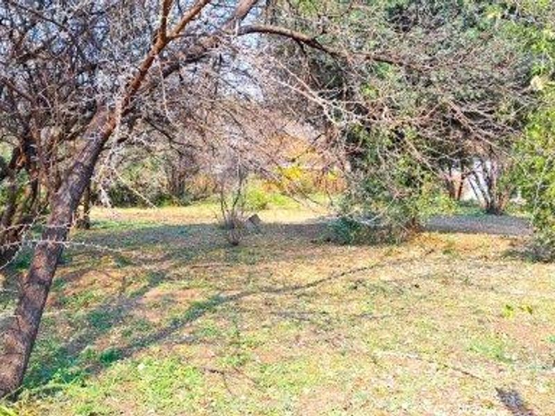 893 m2 Stand for sale in Birdwood - Photo 3