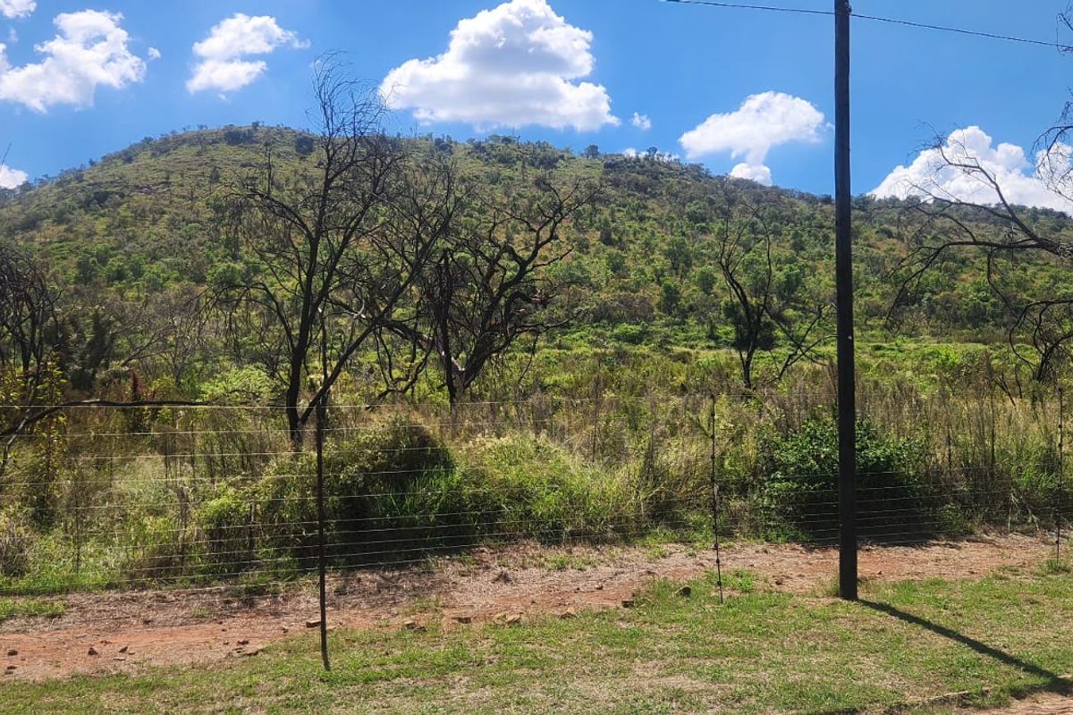Prime 21-Hectare Farm with Multiple Dwellings & Income Potential An exceptional opportunity– Kameelfontein - Photo 2