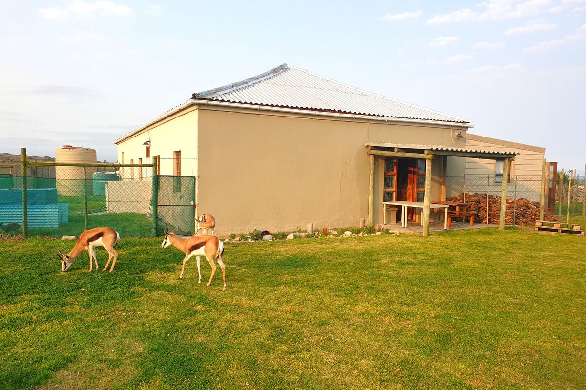 You don't just see the beach, you own it. - Photo 2