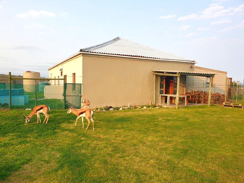 You don't just see the beach, you own it. - Photo 2