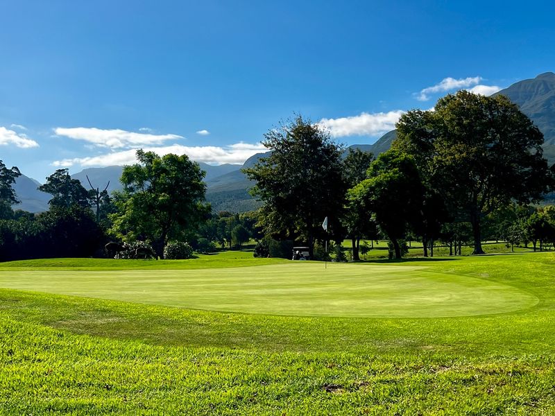 UNMATCHED GOLF COURSE LIVING WITH BREATHTAKING MOUNTAIN VIEWS - Photo 10