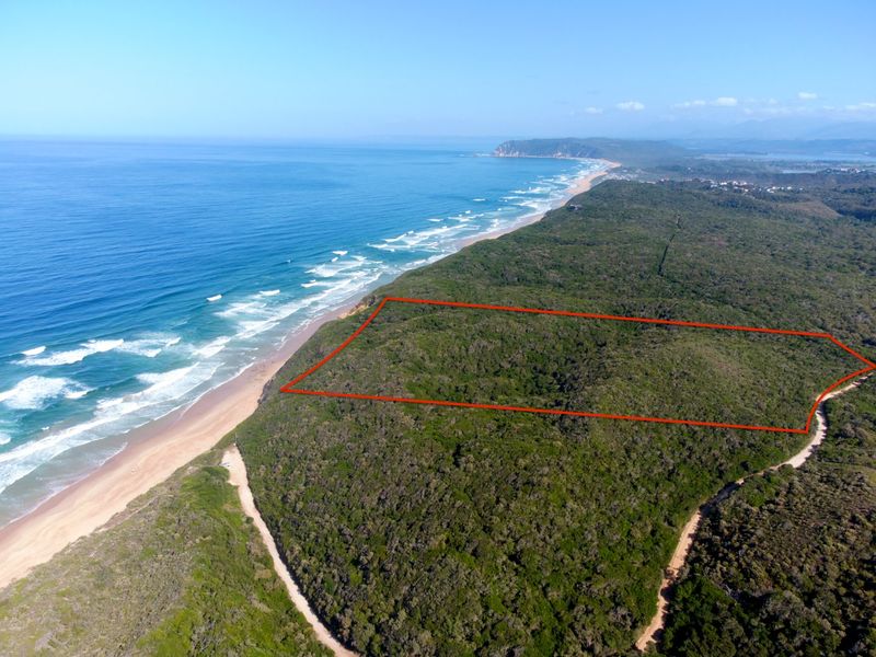 Aerial view of a large, undeveloped coastal residential plot featuring direct beach access and extensive natural vegetation.
