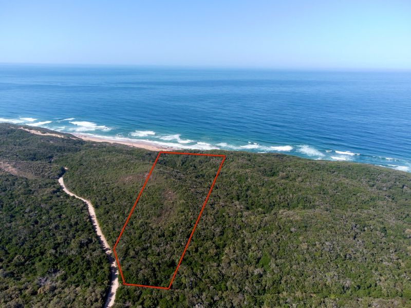 Aerial view of a vacant residential plot featuring dense coastal vegetation and direct proximity to the ocean.