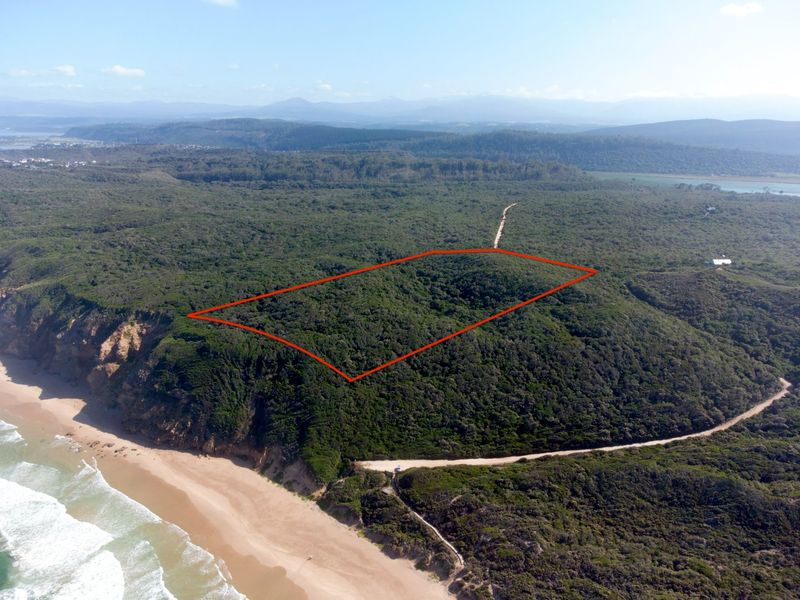 Aerial view of a large, undeveloped coastal residential plot featuring dense native vegetation and proximity to the beach.