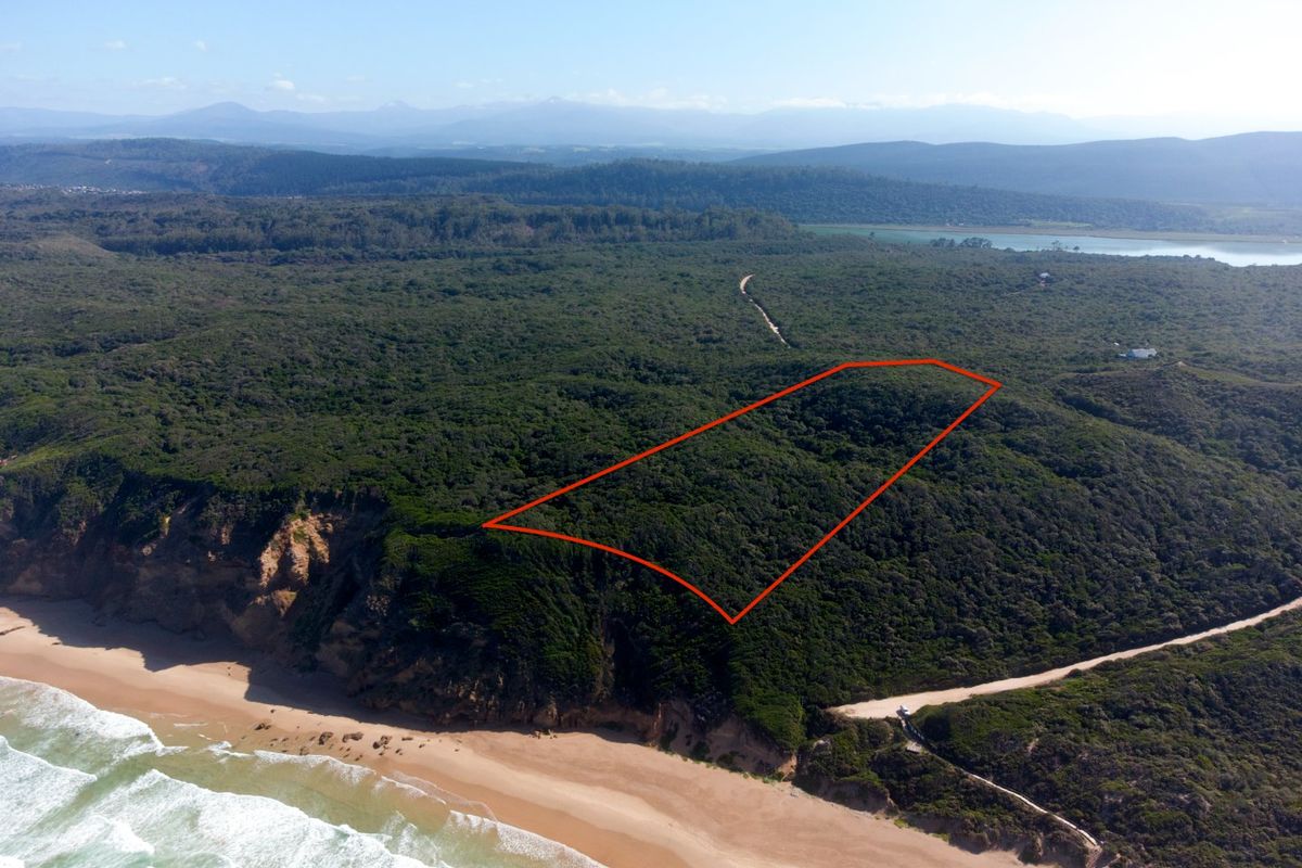 Aerial view of a large, undeveloped coastal residential plot featuring dense native vegetation and direct proximity to the beach.