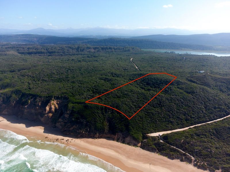 Aerial view of a large, undeveloped coastal residential plot featuring dense native vegetation and direct proximity to the beach.