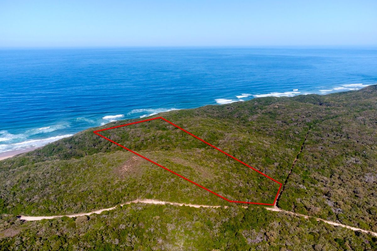 Aerial view of a vacant coastal residential plot featuring dense native vegetation and direct proximity to the ocean.