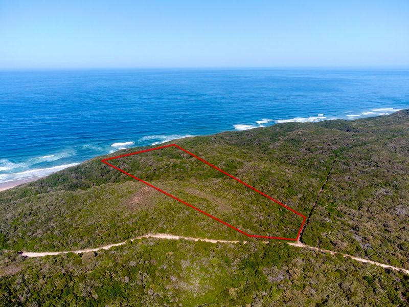 Aerial view of a vacant coastal residential plot featuring dense native vegetation and direct proximity to the ocean.