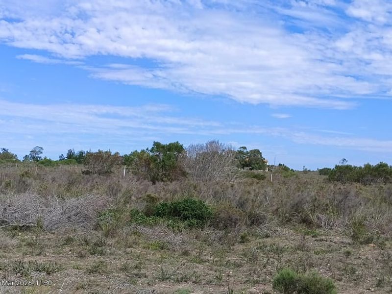 Prime Development Opportunity in Secure Aalwyndal – High-Growth Investment Near the Coast - Photo 7