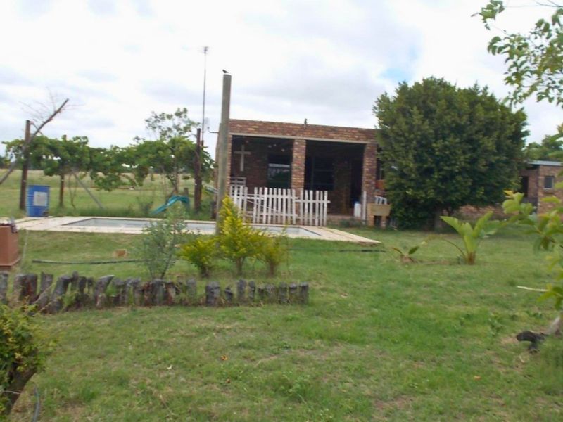 Rear view of the farm property featuring a swimming pool, covered patio area, and established garden space.