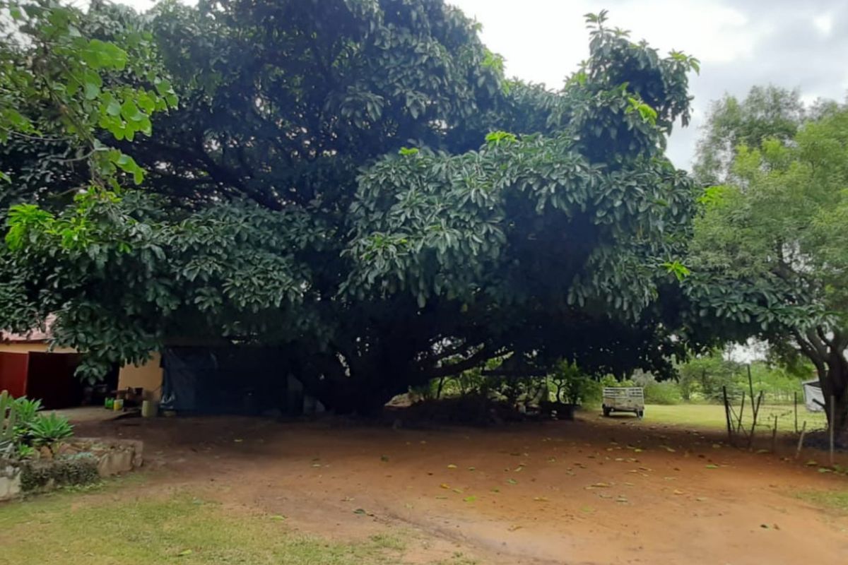 Exceptional 10 Ha Plot in Bultfontein - Photo 4