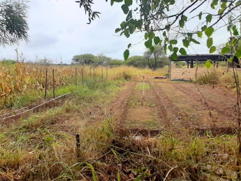 Exceptional 10 Ha Plot in Bultfontein - Photo 10
