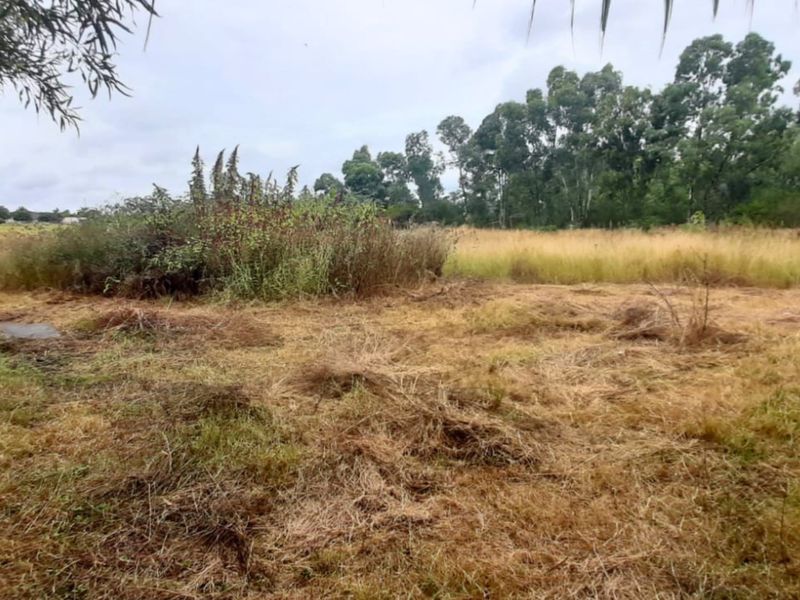 Exceptional 10 Ha Plot in Bultfontein - Photo 8