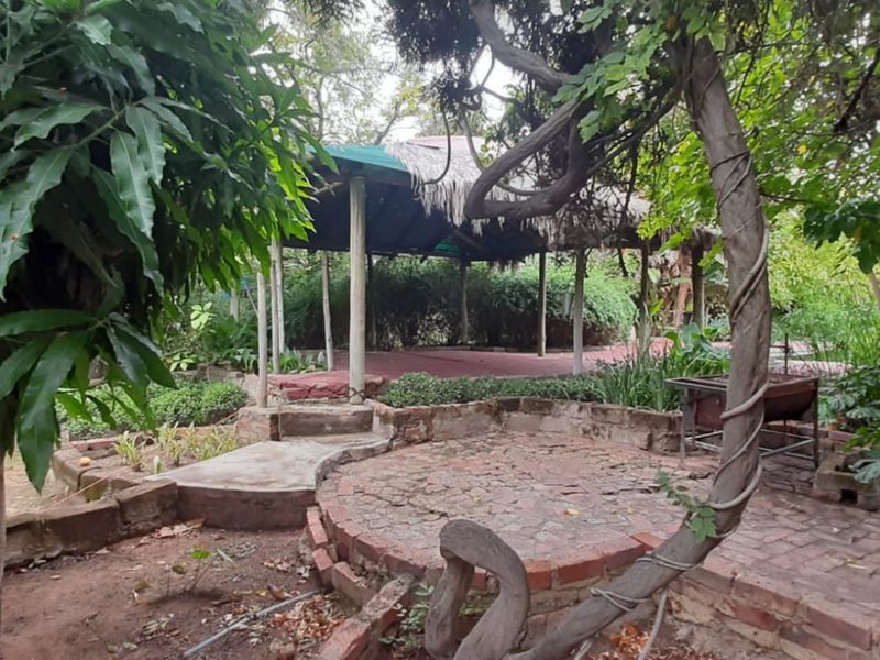 Exceptional 10 Ha Plot in Bultfontein - Photo 6