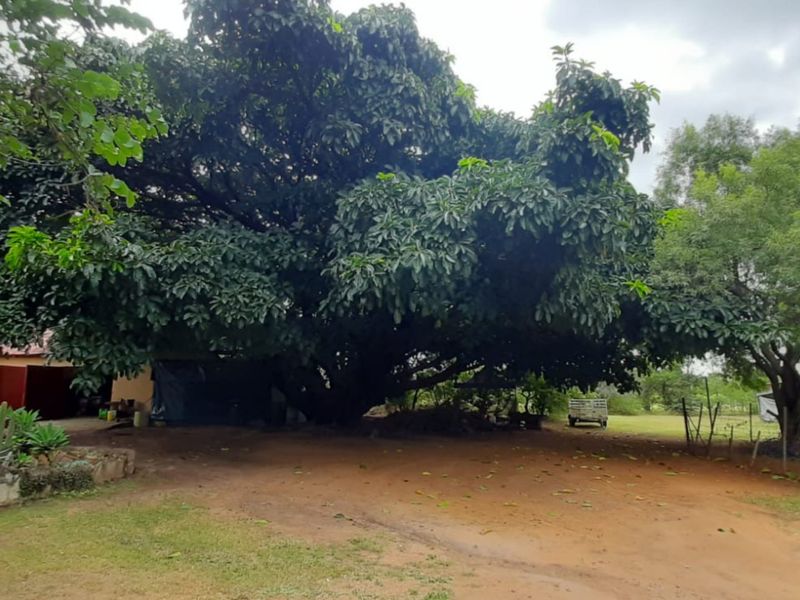 Exceptional 10 Ha Plot in Bultfontein - Photo 5