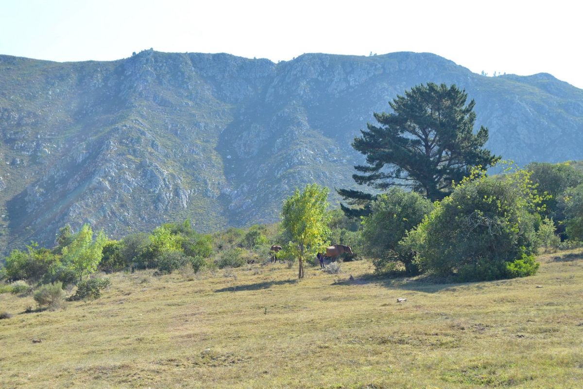 Your own valley in the mountains - Photo 5