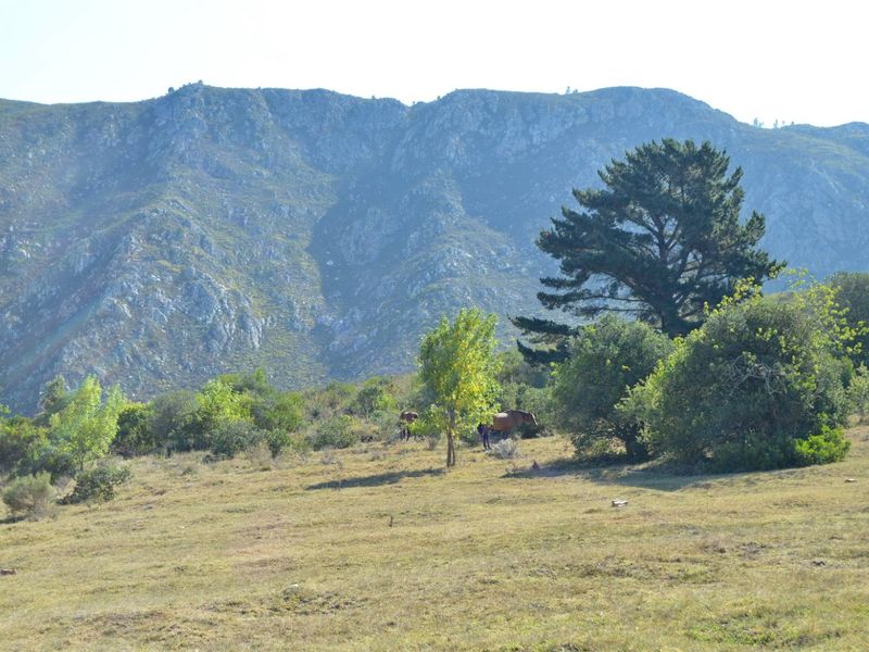 Your own valley in the mountains - Photo 5