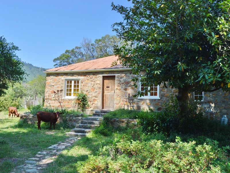 Your own valley in the mountains - Photo 10