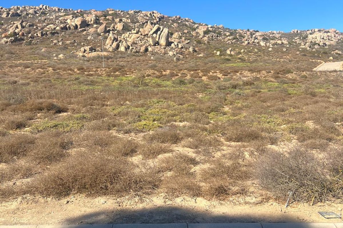 A vacant residential plot featuring natural rocky terrain and native vegetation, bordered by a paved road and concrete curb.
