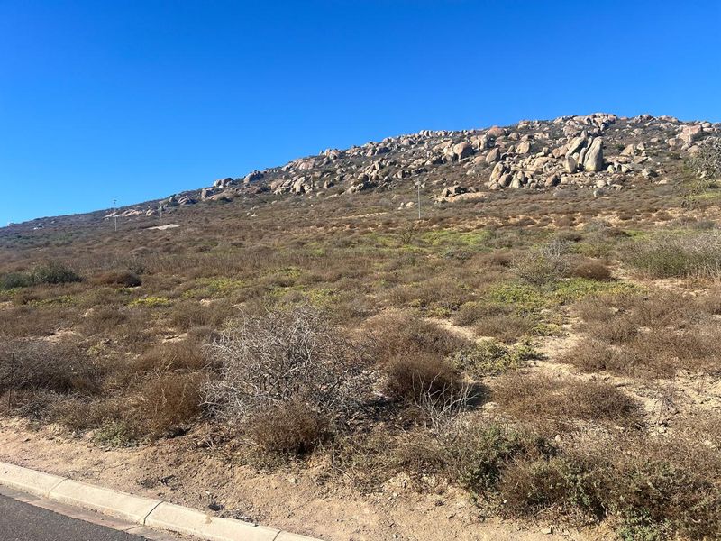 A view of a natural rocky hillside and undeveloped land, featuring native vegetation and a concrete curb along the road edge.