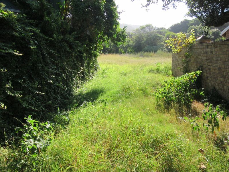 Vacant Land Island Cove close to riverside - Photo 2
