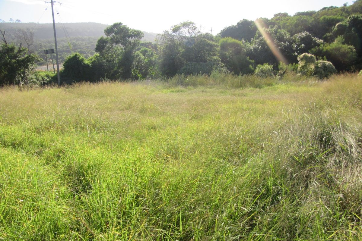 Vacant Land Island Cove close to riverside - Photo 5