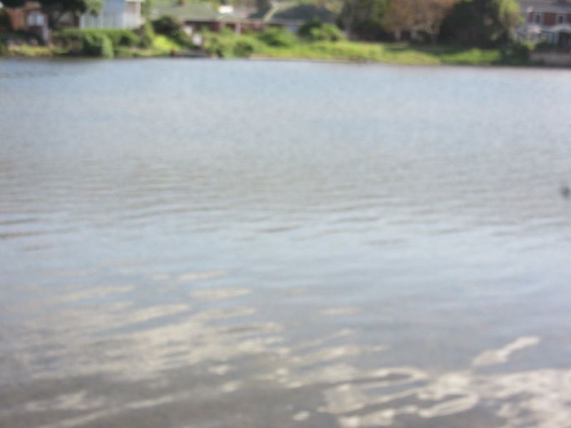 Vacant Land Island Cove close to riverside - Photo 9