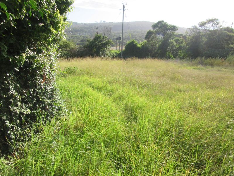 Vacant Land Island Cove close to riverside - Photo 6