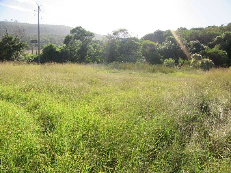 Vacant Land Island Cove close to riverside - Photo 7