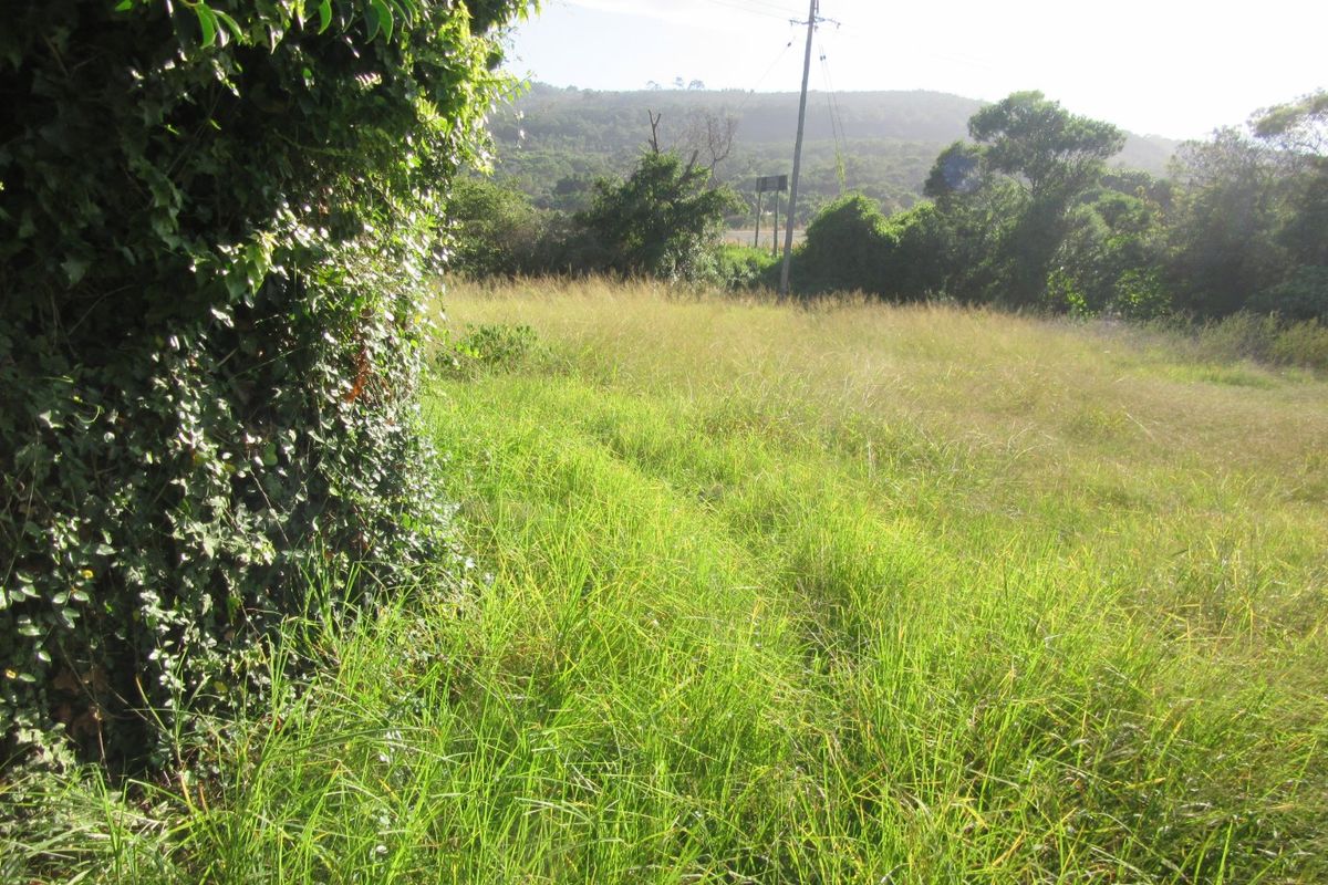 Vacant Land Island Cove close to riverside - Photo 4