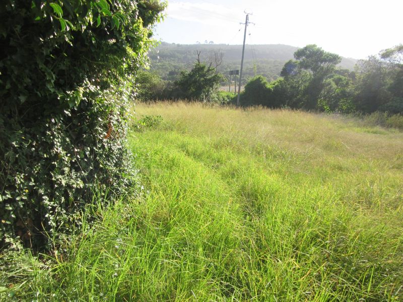Vacant Land Island Cove close to riverside - Photo 4