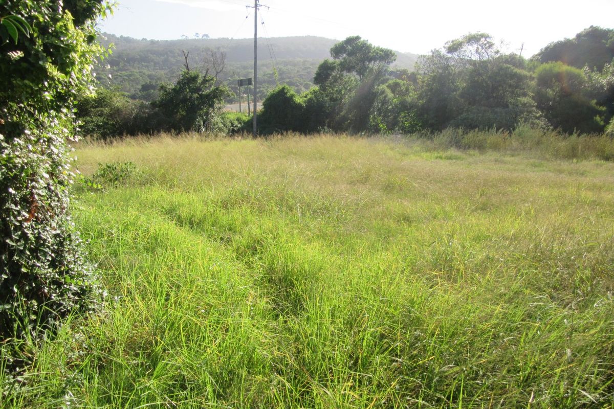 Vacant Land Island Cove close to riverside - Photo 3