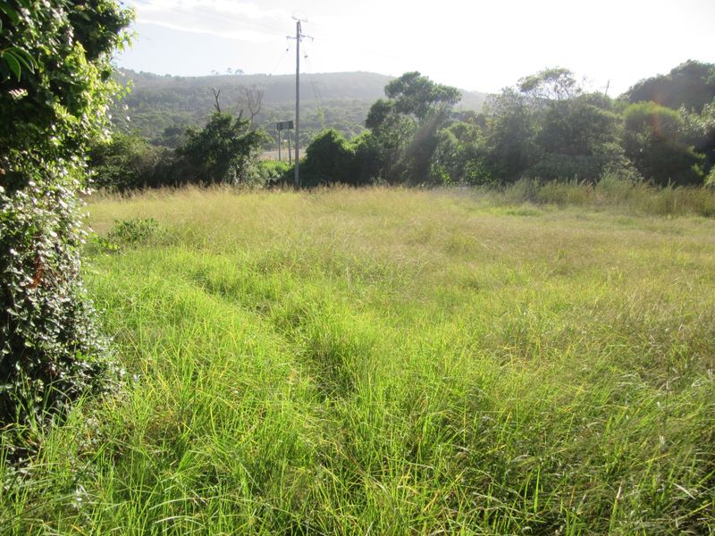 Vacant Land Island Cove close to riverside - Photo 3