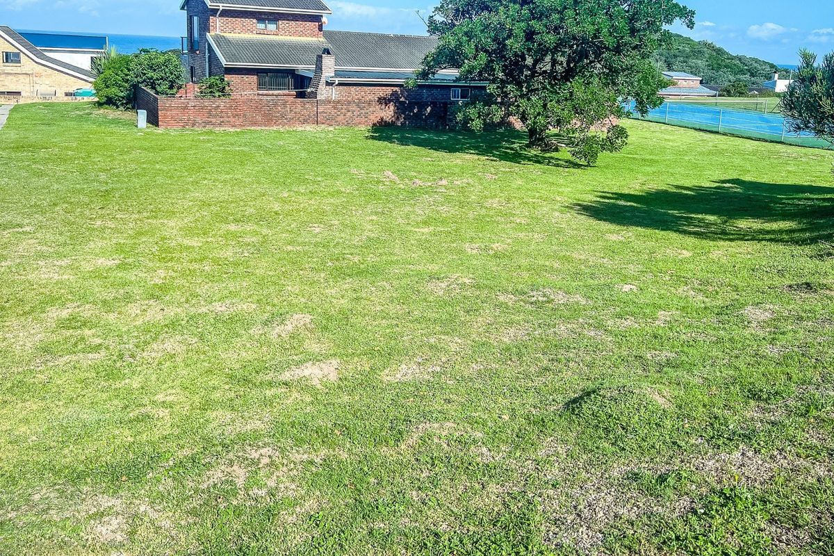 A spacious, level residential plot featuring established lawn, mature trees, and a brick boundary wall, offering a clear view of the surrounding neighborhood.
