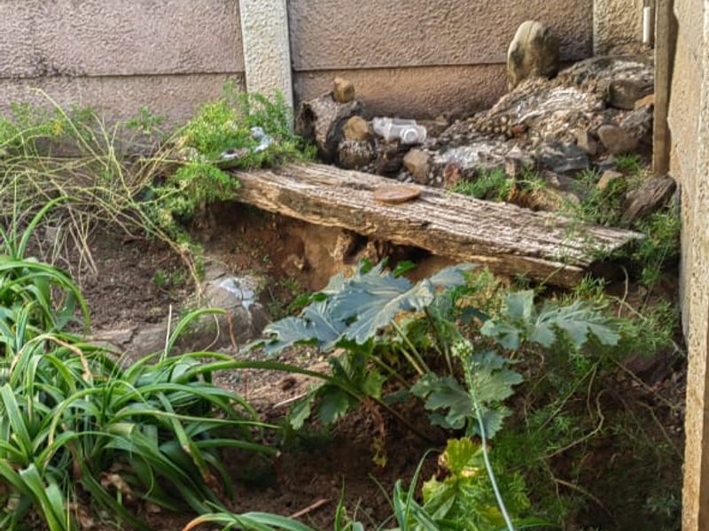 Spacious 1-Bedroom Apartment in Established Sectional Title Block - Photo 9