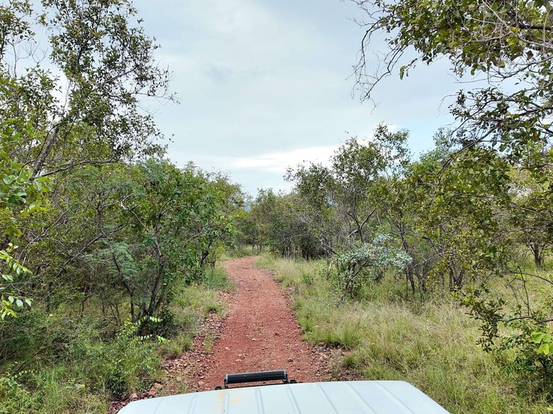 330 hectares Vaalwater, fully fenced, 5-star address - Photo 9