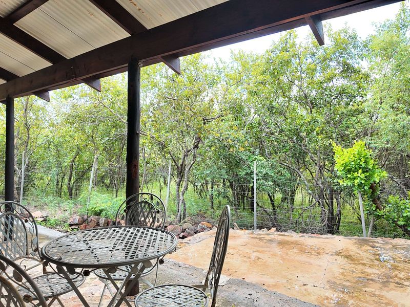 330 hectares Vaalwater, fully fenced, 5-star address - Photo 5