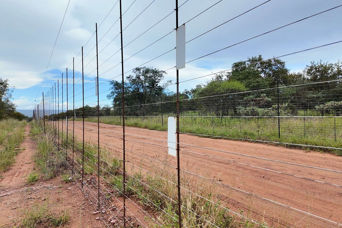 A view of a farm boundary featuring a wire mesh fence line running alongside a dirt access road.