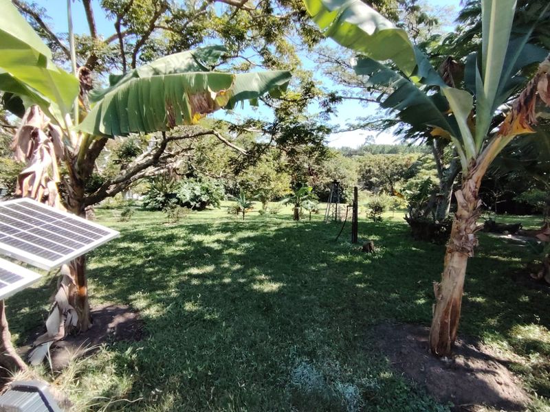 Country Living Meets Coastal Charm – Large Erf In The Heart Of Uvongo - Photo 7