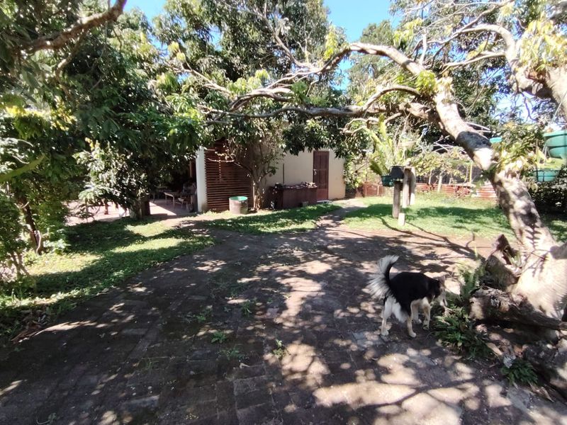 Country Living Meets Coastal Charm – Large Erf In The Heart Of Uvongo - Photo 9