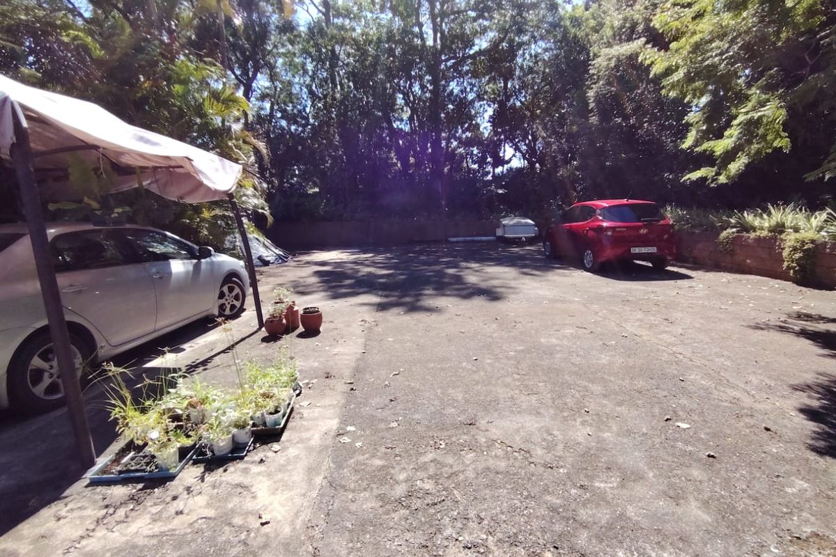 A large concrete driveway area situated at the rear of the property, bordered by a retaining wall and mature trees.