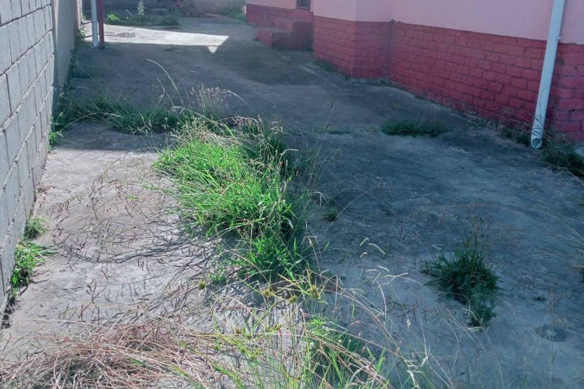 3 bedroom house - Photo 2