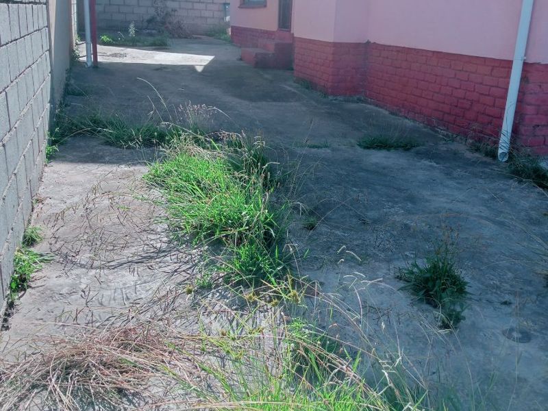 Rear exterior view showing a concrete driveway, carport structure, and boundary wall, requiring maintenance and landscaping to improve curb appeal.