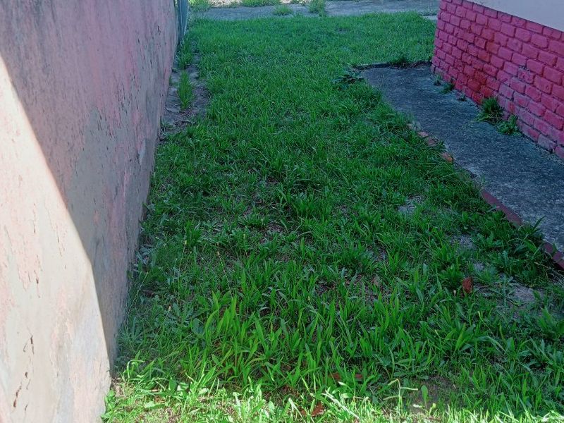 A narrow rear garden area featuring a boundary wall, concrete pathway, and brick exterior wall of the house.