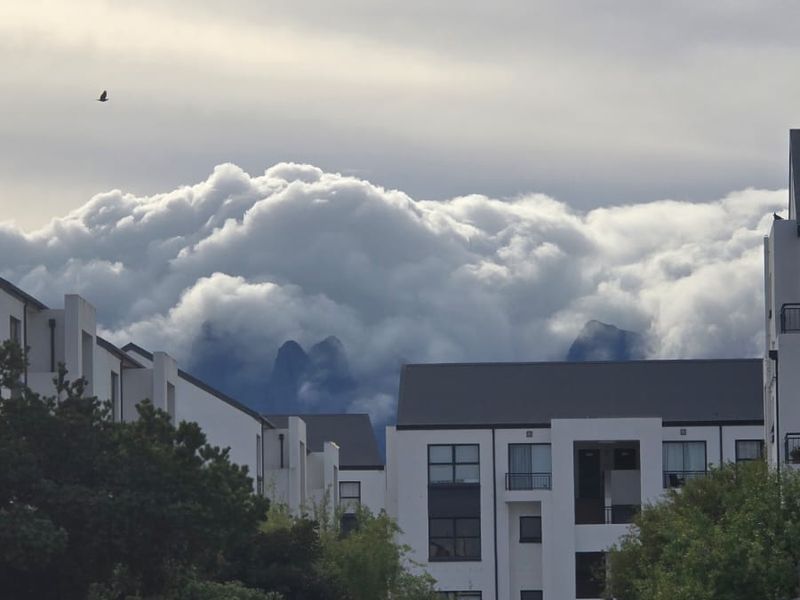 2 Bedroom Apartment - Photo 4