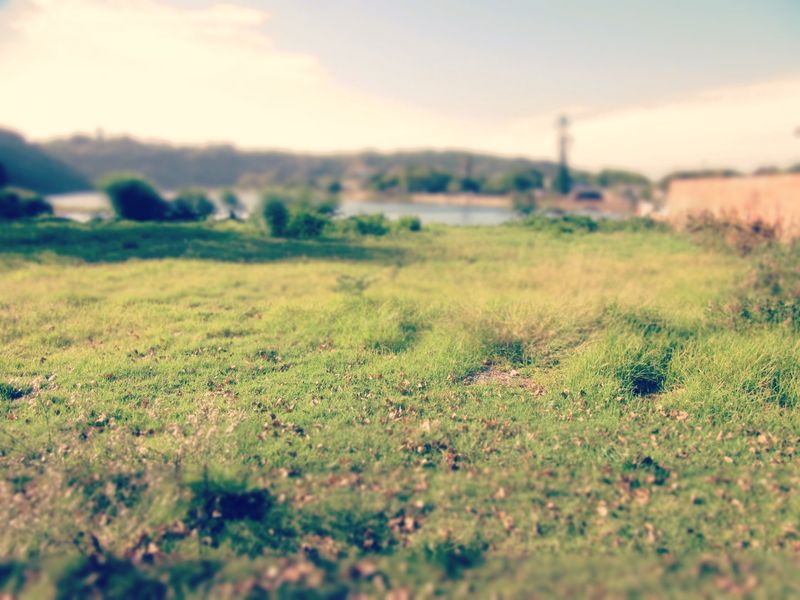 BEST VIEWS OF THE RIVER AND MOUNTAINS  - Photo 3