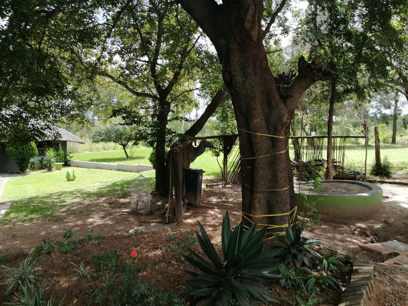 Gust-house apartment property available for rental - Photo 10