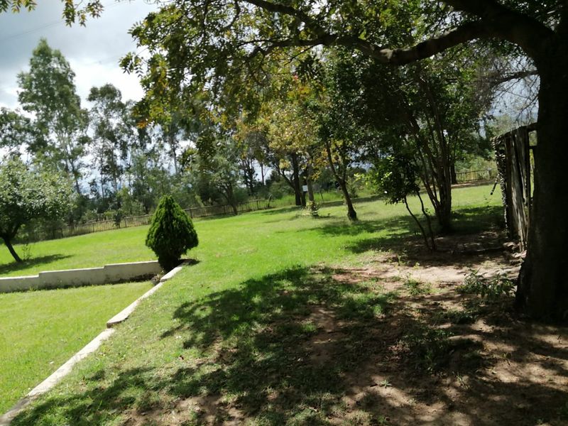 Gust-house apartment property available for rental - Photo 8