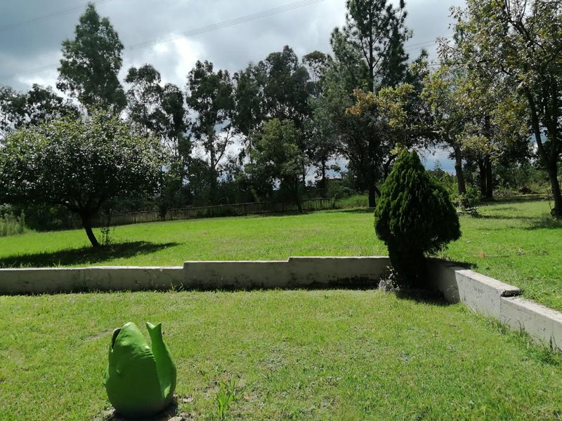 Gust-house apartment property available for rental - Photo 7